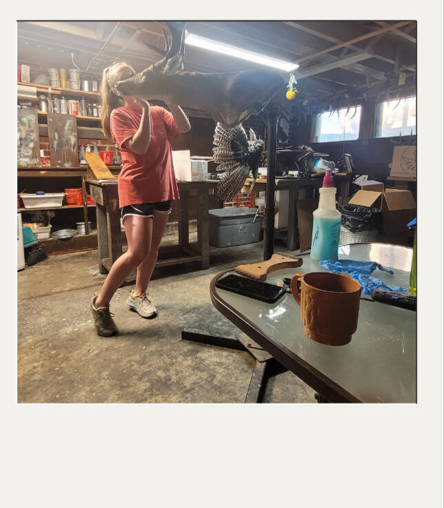 A note from me to you From the bottom of my heart—thank you for being here. It means the world to me that you're considering trusting Cold Shoulder Taxidermy with something as personal and meaningful as your trophy. I don’t take that lightly. Your piece is special. Whether it